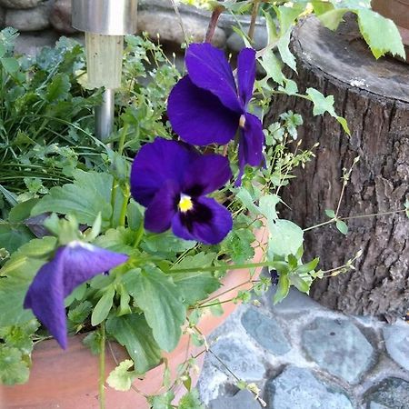 Nina B&B Dilijan Ngoại thất bức ảnh