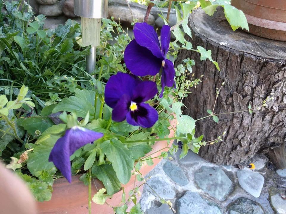 Nina B&B Dilijan Ngoại thất bức ảnh